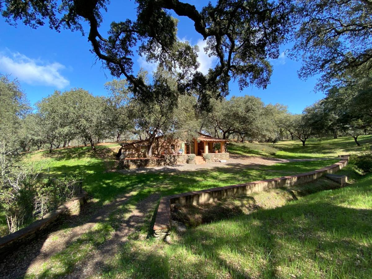 Valle Del Arroyo Casas Rurales - B&B - Solo Adultos Cortelazor Exterior photo